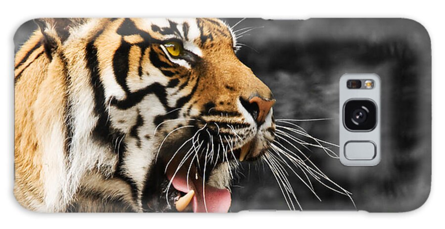 Tiger Galaxy Case featuring the photograph Tiger by Svetlana Sewell