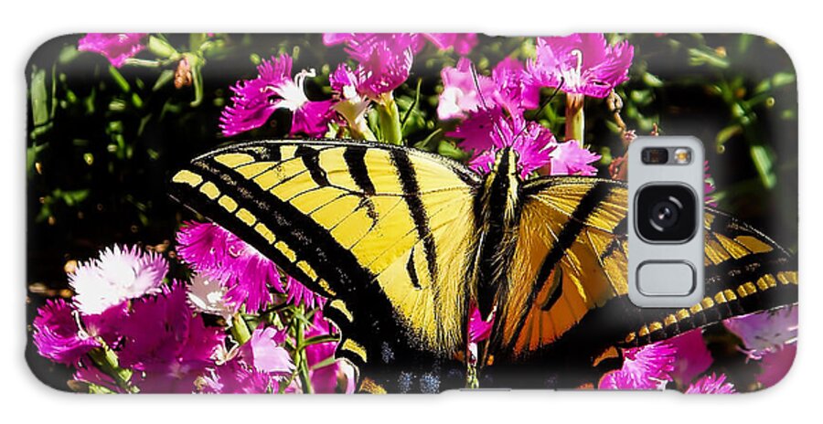 Insect Galaxy Case featuring the photograph Tiger Swallowtail by Alana Thrower
