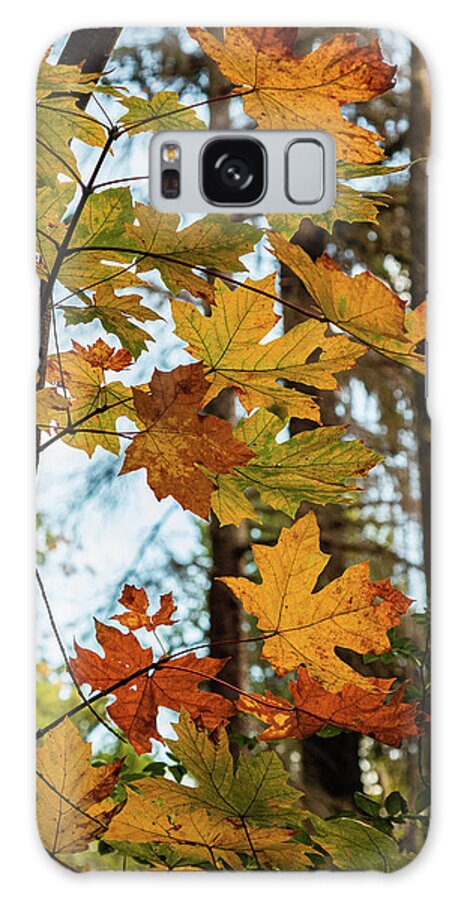 Landscapes Galaxy Case featuring the photograph Time Of Change by Claude Dalley