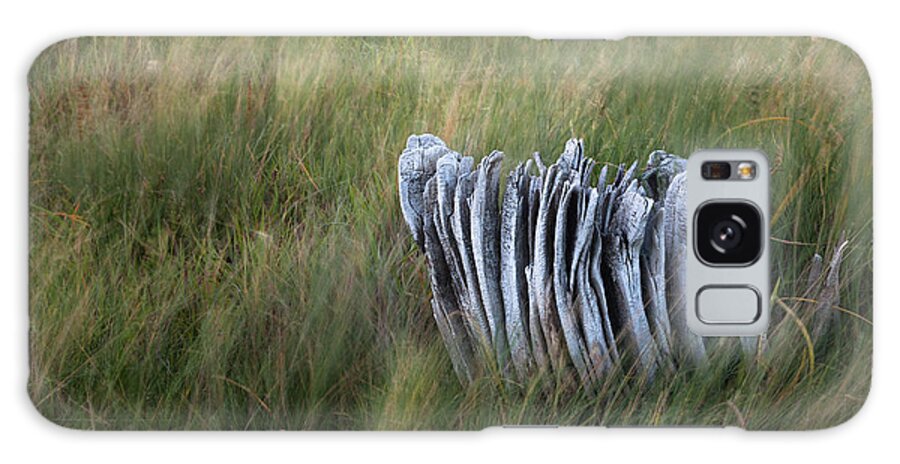 Weathered Stump Galaxy Case featuring the photograph Weathered Stump by Scott Slone
