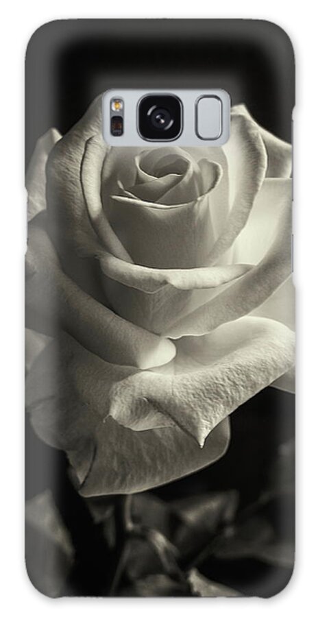 Rose Galaxy Case featuring the photograph Tinted Rose by Jeff Townsend