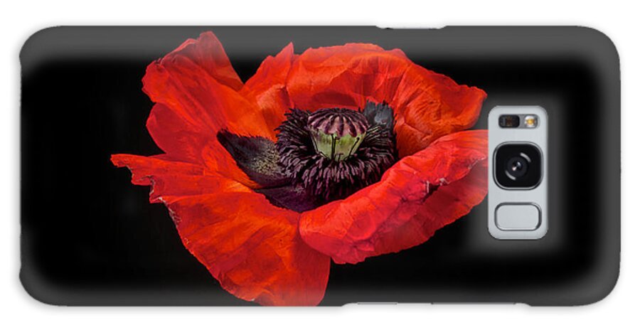Red Oriental Poppy Galaxy Case featuring the photograph Tiny Dancer Poppy by Toni Chanelle Paisley