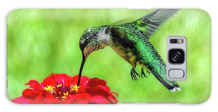 Hummingbird Galaxy Case featuring the photograph Tiny Feet by Sue Melvin