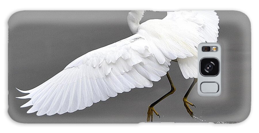 Snowy White Egret Galaxy S8 Case featuring the photograph Tiptoe by Fraida Gutovich