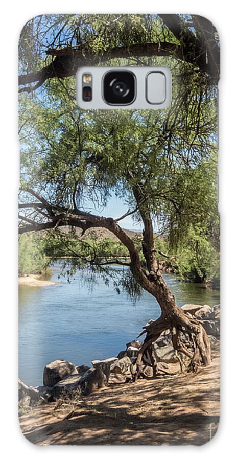 Arizona Galaxy Case featuring the photograph Tiptoeing by Kathy McClure
