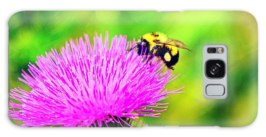 Bee Galaxy Case featuring the photograph To Bee Together Again by Becky Kurth