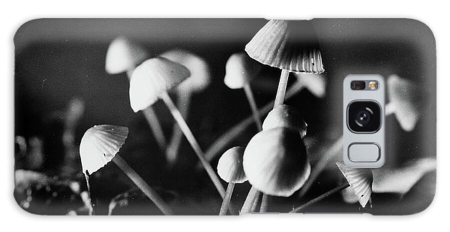 Analog Galaxy Case featuring the photograph Toadstools by Dirk Ercken