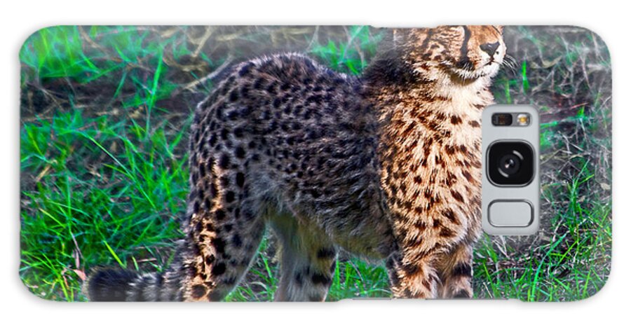 #cheetah Galaxy Case featuring the photograph Too Cute by Miroslava Jurcik