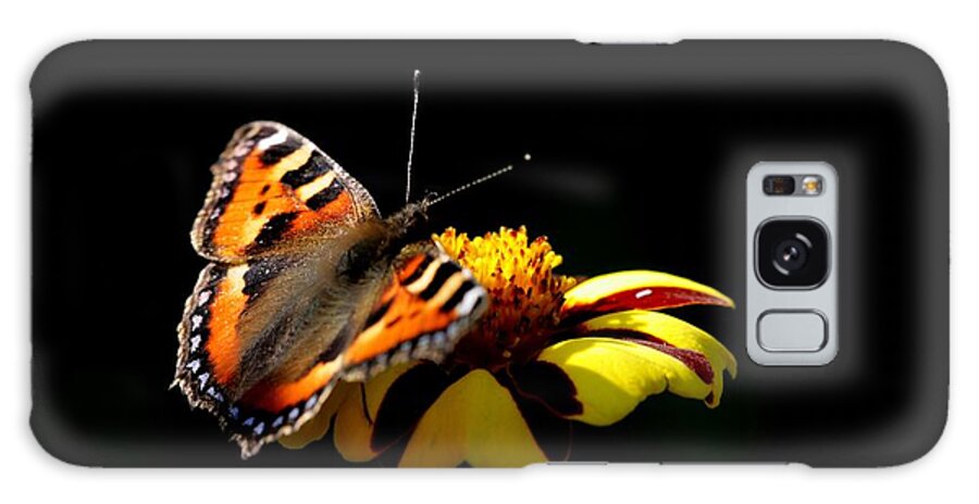 Butterfly Imago Small Tortoiseshell Marigold Galaxy S8 Case featuring the photograph Tortoiseshell Butterfly by Ian Sanders