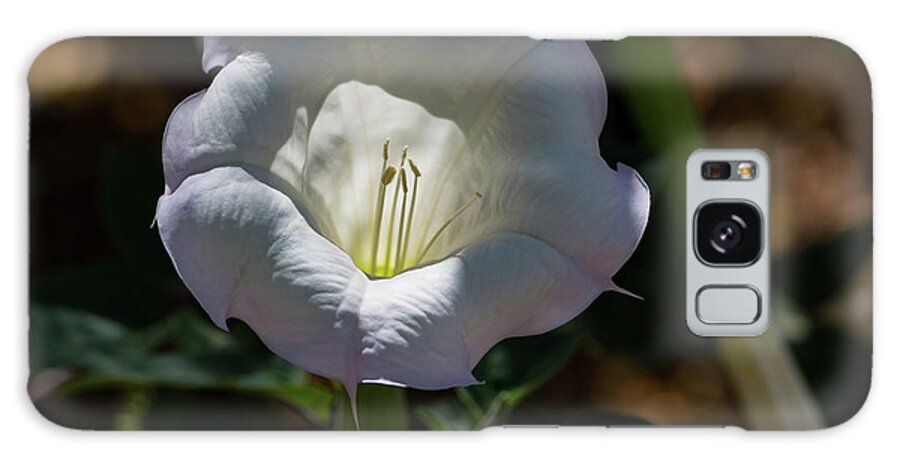 Flower Galaxy Case featuring the photograph Touch of Color by Douglas Killourie