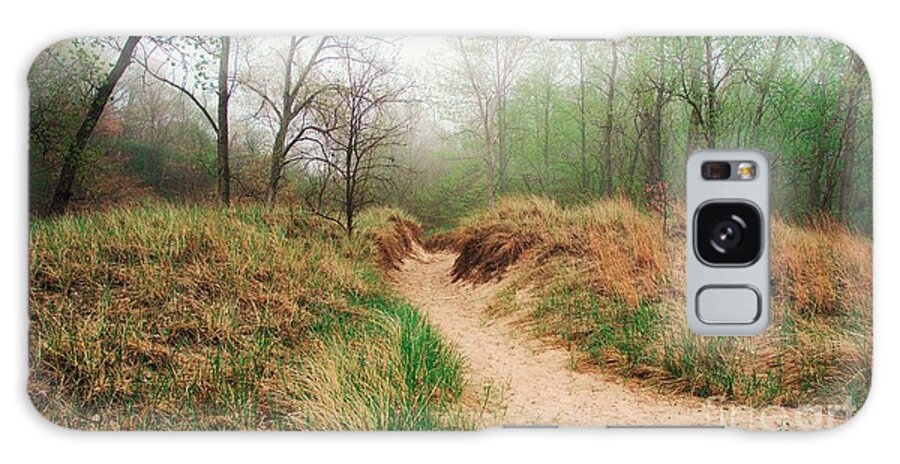 Warren Dunes Galaxy Case featuring the photograph Trail at Warren Dunes by Brett Maniscalco