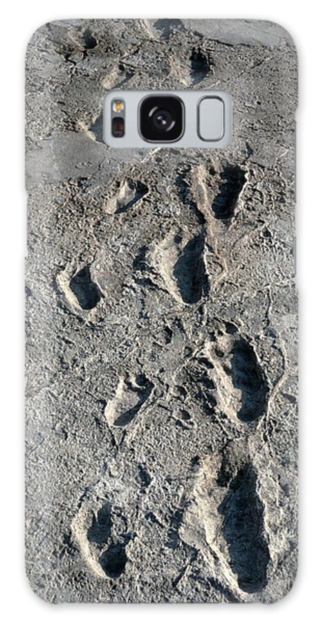 Laetoli Footprint Galaxy Case featuring the photograph Trail Of Laetoli Footprints. by John Reader