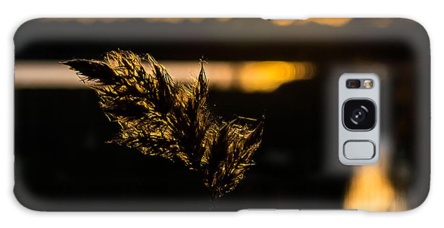 Reed Galaxy S8 Case featuring the photograph Transcendence by Gregory Andrus