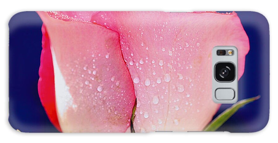 Rose Galaxy Case featuring the photograph Translucent Rose by Gary Dean Mercer Clark