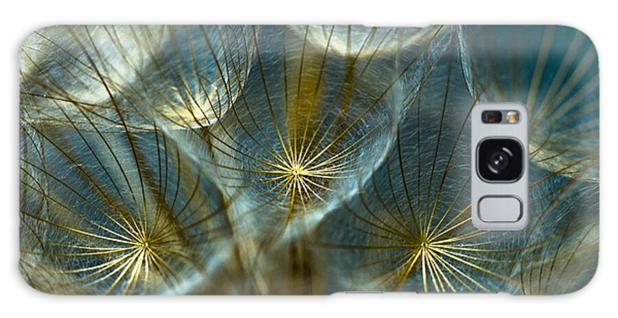 Dandelion Galaxy Case featuring the photograph Translucid Dandelions by Iris Greenwell