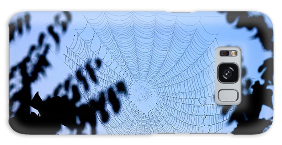Spider Web Galaxy Case featuring the photograph Transparent Web by Sheri Simmons
