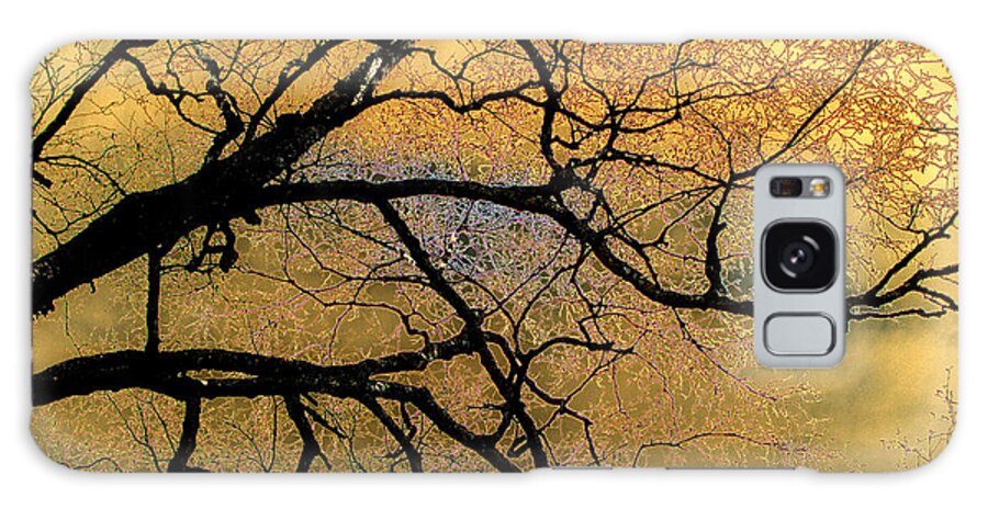 Scenic Galaxy Case featuring the photograph Tree Fantasy 7 by Lee Santa