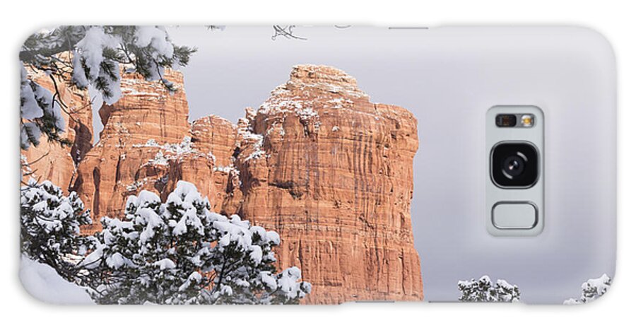Sedona Galaxy Case featuring the photograph Tree Hanging over Coffee Pot by Laura Pratt