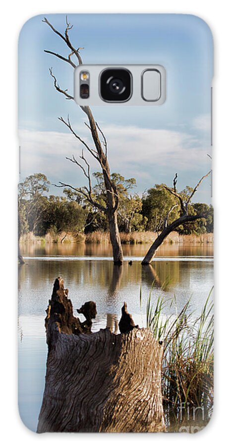 Trees Galaxy Case featuring the photograph Tree Image by Douglas Barnard