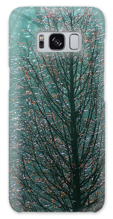 Tree Galaxy S8 Case featuring the photograph Tree in autumn, with red leaves, blue background, sunny day by Emanuel Tanjala