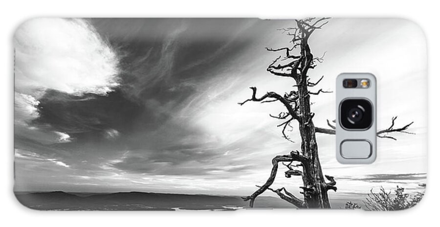 Arkansas Galaxy Case featuring the photograph Tree Vs World by Mati Krimerman