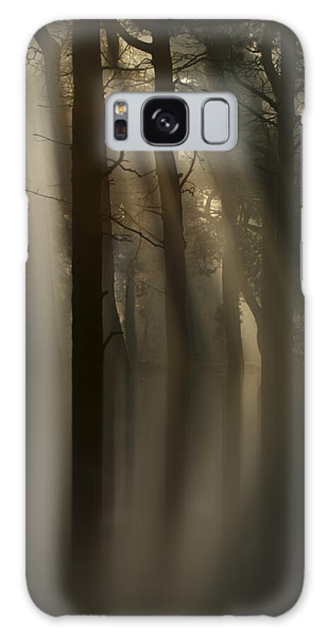 Sun Galaxy S8 Case featuring the photograph Trees and Light by Andy Astbury