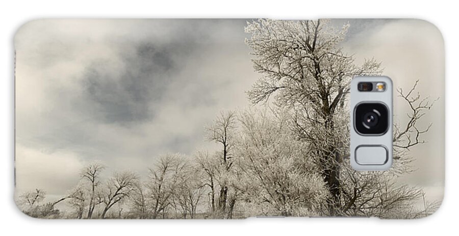 Trees Galaxy Case featuring the photograph Trees Covered in Hoar Frost by Art Whitton