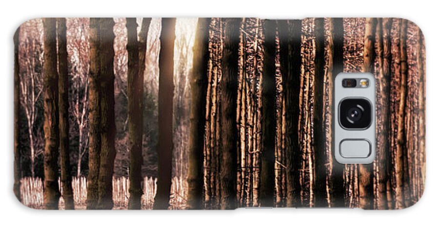 Trees Galaxy Case featuring the photograph Trees Gathering by Wim Lanclus