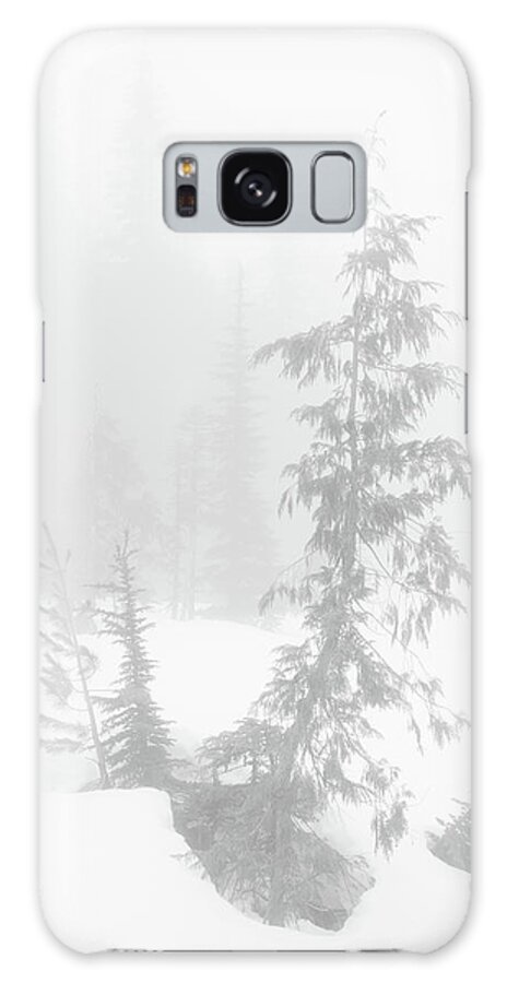 Tree Galaxy Case featuring the photograph Trees in Fog Monochrome by Tim Newton