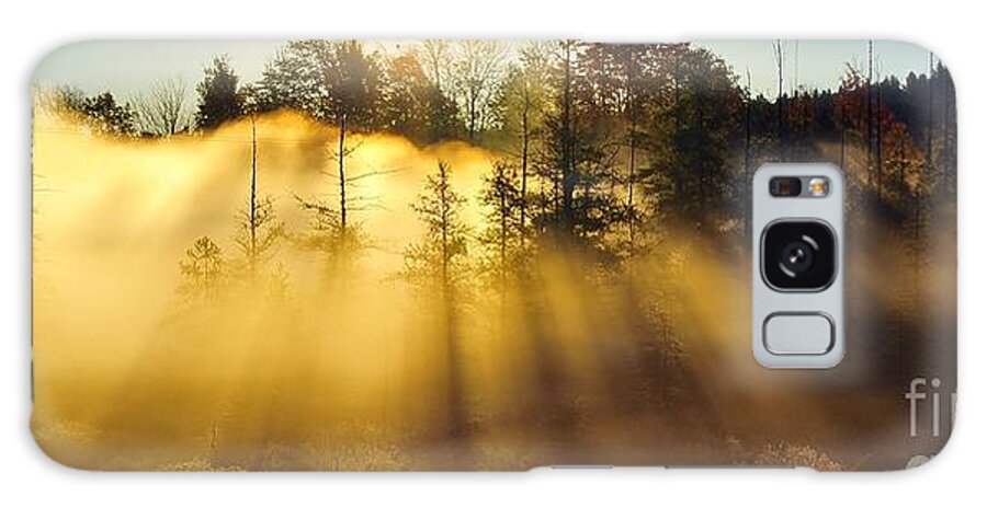 Trees Galaxy Case featuring the photograph Treetop Shadows by Terri Gostola