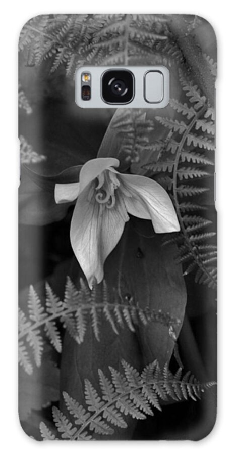 Flower Galaxy Case featuring the photograph Trillium and Ferns BW by Charles Lucas