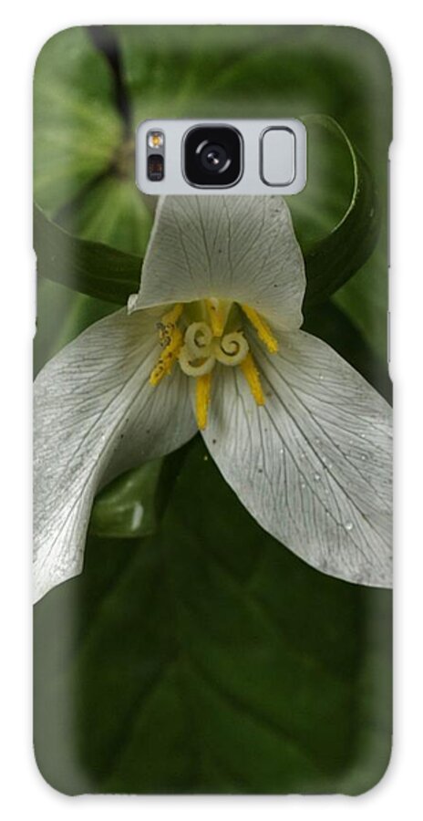 Flowers Galaxy Case featuring the photograph Trillium Spirals by Charles Lucas