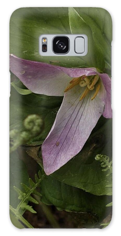 Flowers Galaxy Case featuring the photograph Trillium with Accents by Charles Lucas