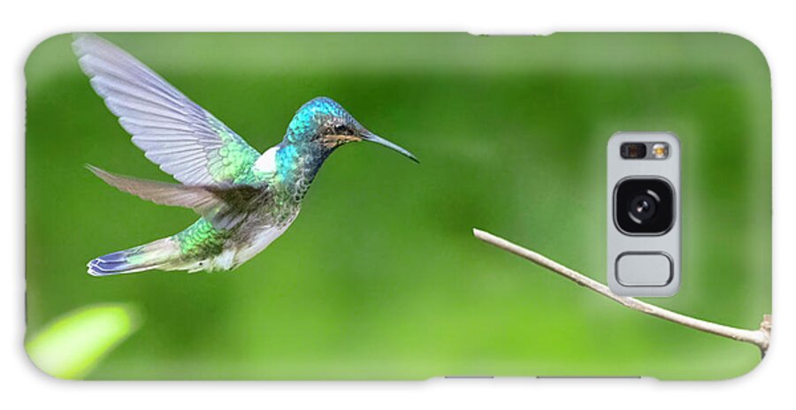 Hummingbird Galaxy Case featuring the photograph Trinidad and Tobago Hummingbird by Nadia Sanowar