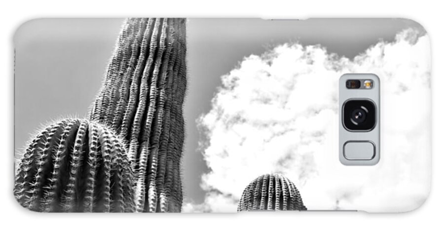 Saguaro Galaxy Case featuring the photograph Trio by Melisa Elliott
