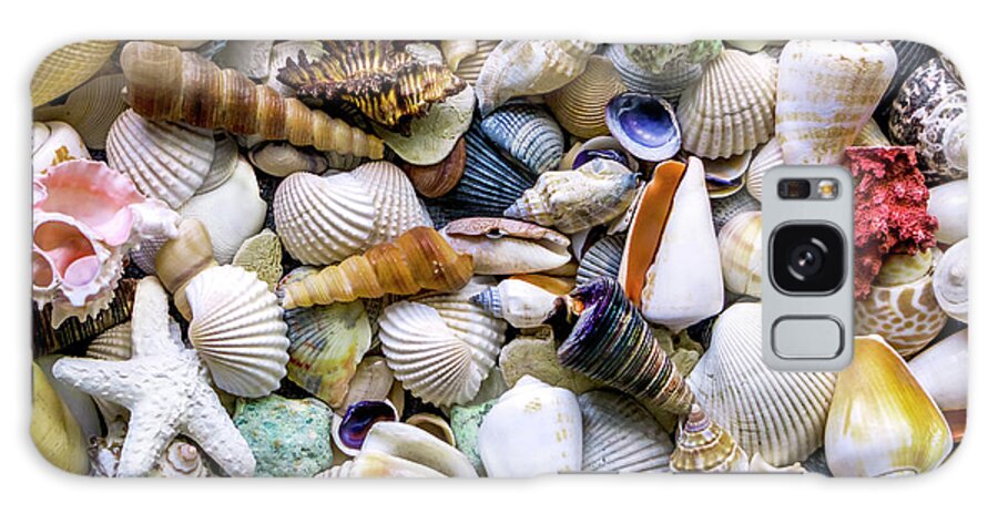 1500a Galaxy S8 Case featuring the photograph Tropical Beach Seashell Treasures 1500A by Ricardos Creations