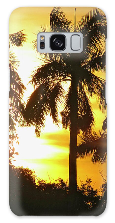 Tropical Galaxy Case featuring the photograph Tropical Sunset Palm by David Bader