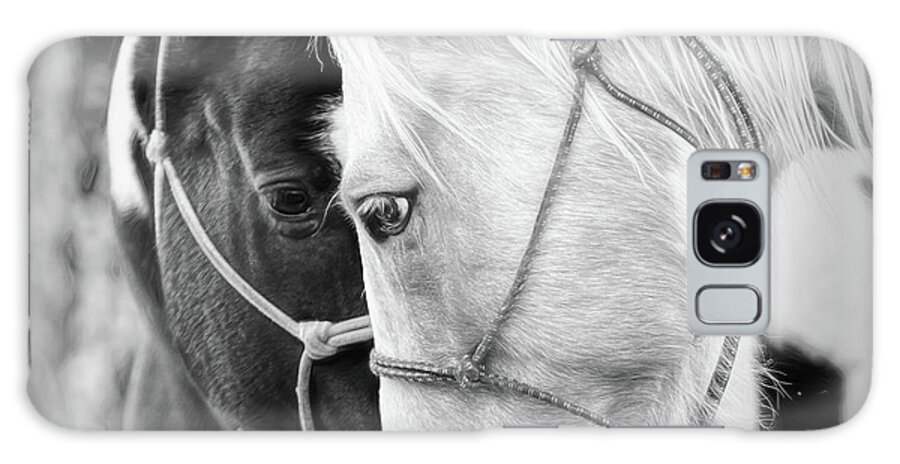 Horse Galaxy Case featuring the photograph True Friends by Sharon Jones