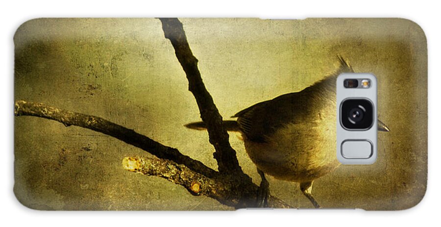 backyard Birds Galaxy Case featuring the photograph Tufted Titmouse - Weathered by Lana Trussell