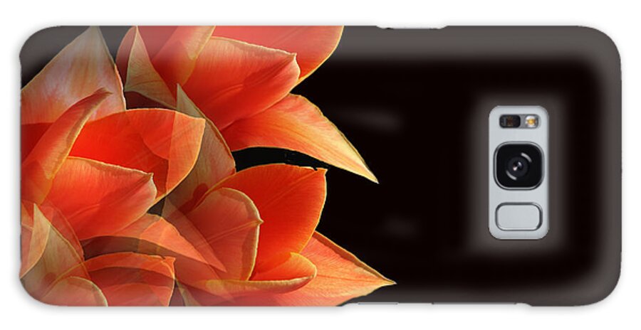 Tulip Galaxy Case featuring the photograph Tulips Dramatic Orange Montage by Femina Photo Art By Maggie