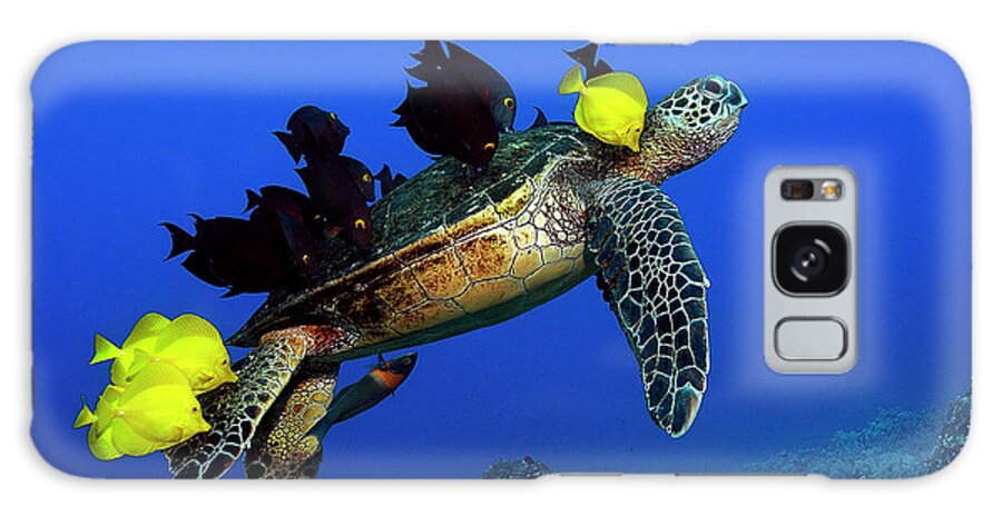 Hawaii Galaxy Case featuring the photograph Turtle grooming by Artesub