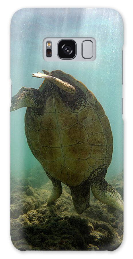 Turtle Galaxy Case featuring the photograph Turtle Handstand by Christopher Johnson
