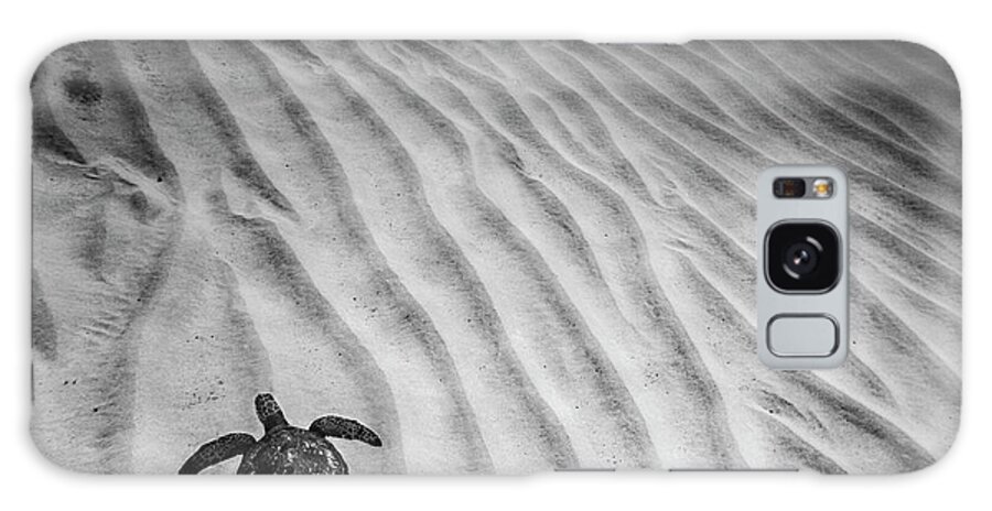 Sea Galaxy Case featuring the photograph Turtle Ridges by Sean Davey