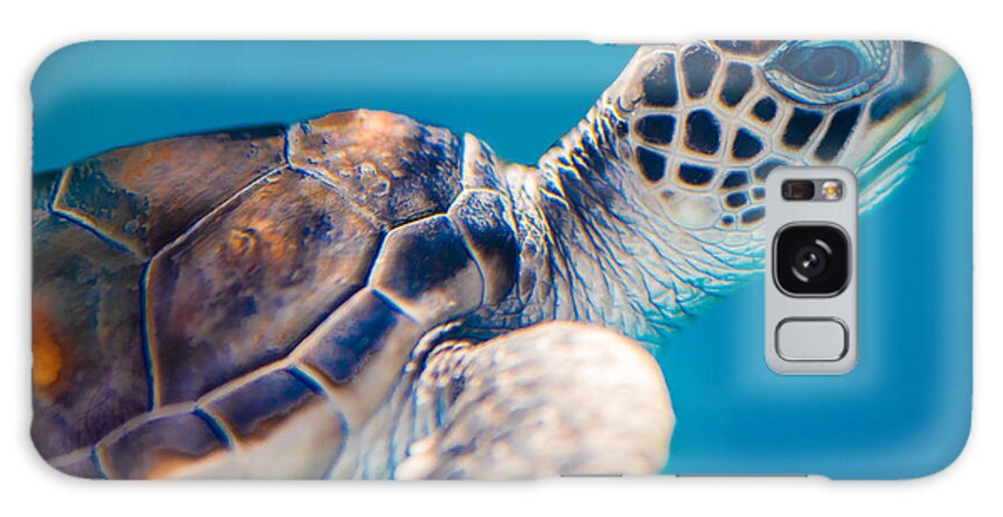 Hawaii Galaxy Case featuring the photograph Turtle town by Ian Sempowski