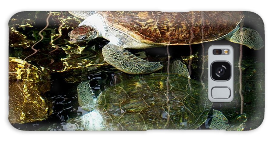 Turtle Galaxy S8 Case featuring the photograph Turtles by Angela Murray