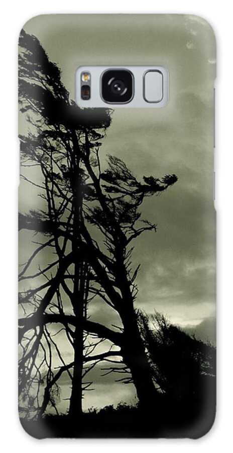  Galaxy Case featuring the photograph Twin Rivers Olympic Peninsula Washington by Leizel Grant