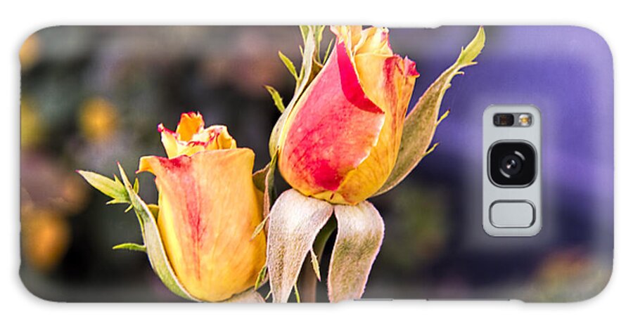Flowers Galaxy Case featuring the photograph Twin Roses of Love by Bruce Bottomley