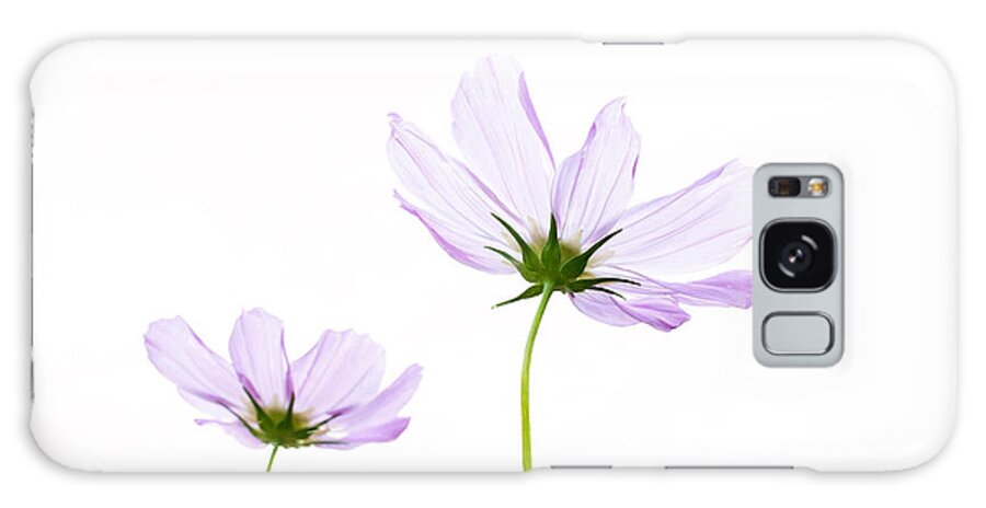 Pink Cosmos Flowers Galaxy Case featuring the photograph Twins by Marina Kojukhova