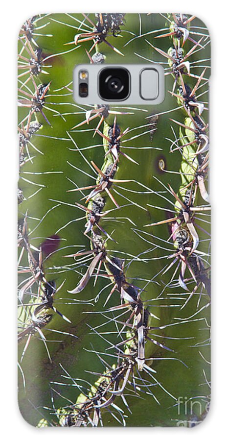 Arizona Galaxy Case featuring the photograph Twisted by Kathy McClure