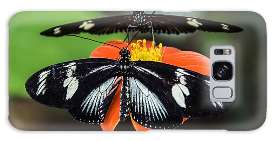 Black Galaxy S8 Case featuring the photograph Two Butterflies-One Flower by WAZgriffin Digital